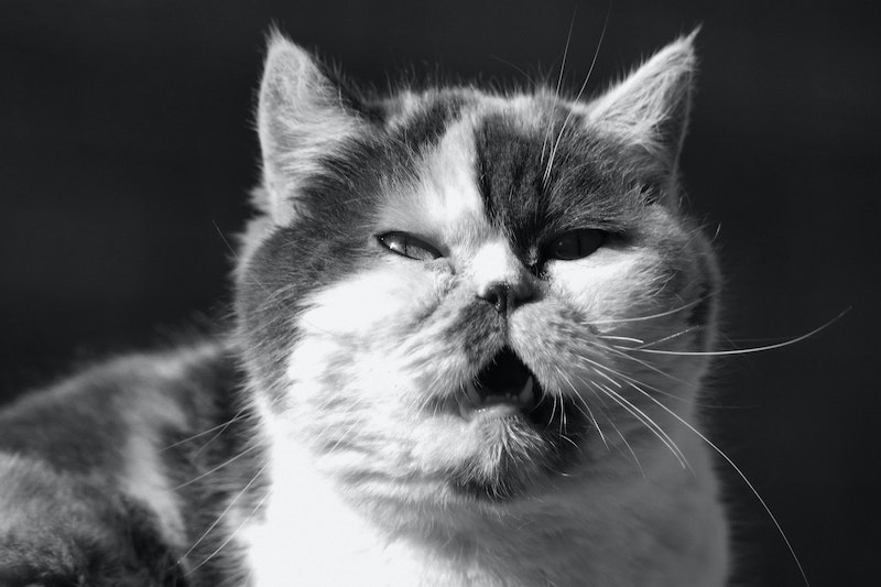 ageism and prejudice